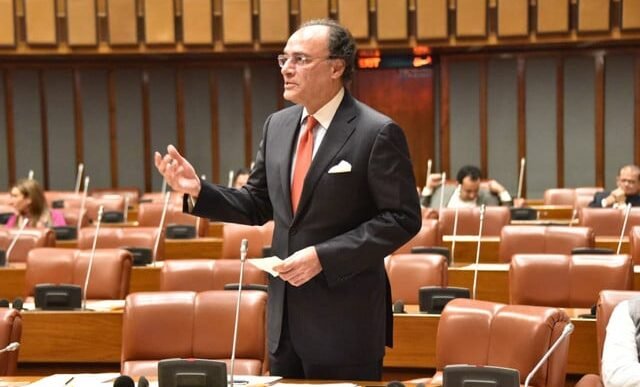 finance minister muhammad aurangzeb addressing senate on monday photo facebook senate