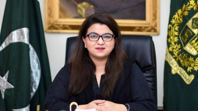 Pakistan targeting $25bn in IT exports over next five years, says state minister