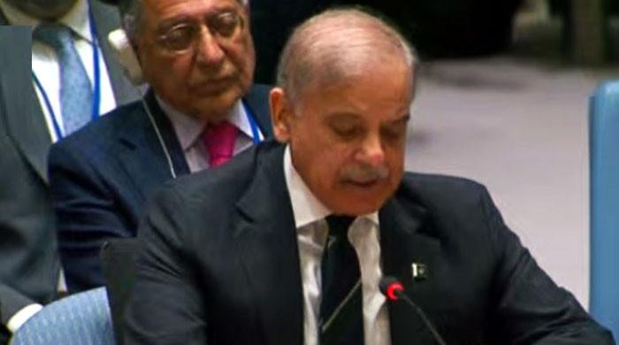 Pakistan urges UNSC to apply sanctions against Israel