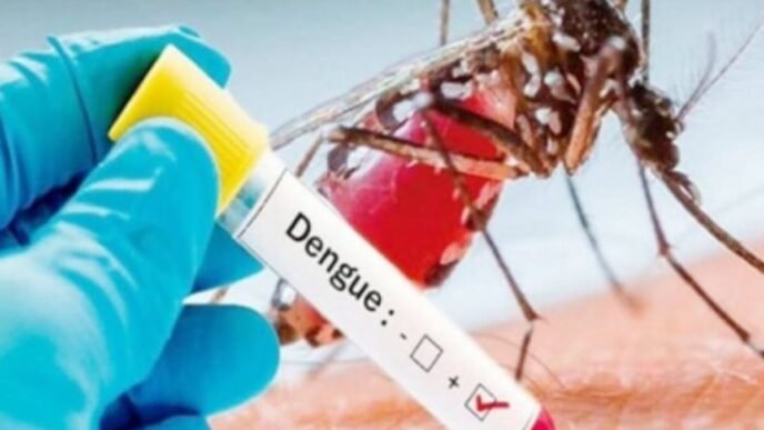 96 new Dengue cases recorded in 24 Hours