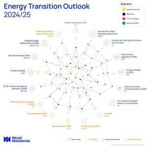 Decisive action needed to achieve net zero by 2050, as world is currently on path for 2.5 ˚C to 3 ˚C global warming, according to Wood Mackenzie