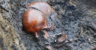 Fifty well-preserved Viking-era skeletons are discovered in Denmark