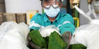 Indonesian battery-material makers navigate China-West EV tensions