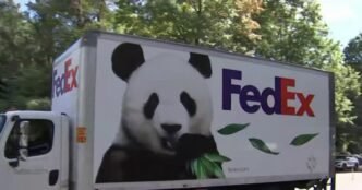 Two giant pandas from China arrive at the National Zoo