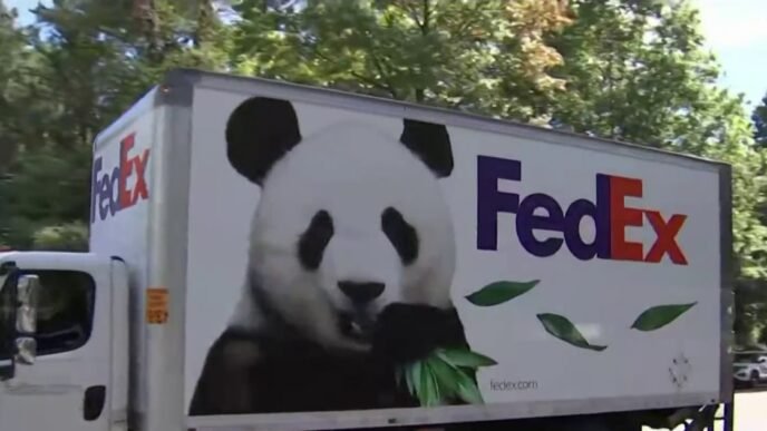 Two giant pandas from China arrive at the National Zoo