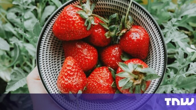 Can OpenAI’s Strawberry program deceive humans?