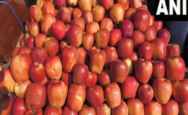 Prices of Kashmiri apples fall in Poonch, locals urge govt to keep Mughal Road open throughout year