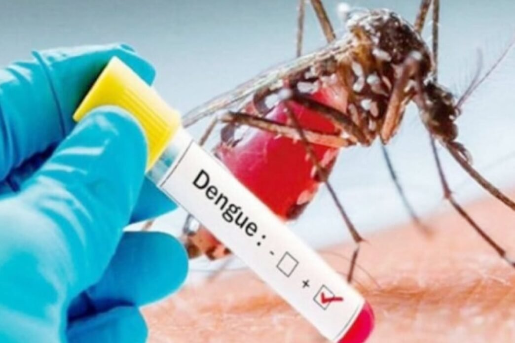 Punjab reports 110 new dengue cases