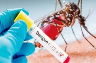 Punjab reports 110 new dengue cases