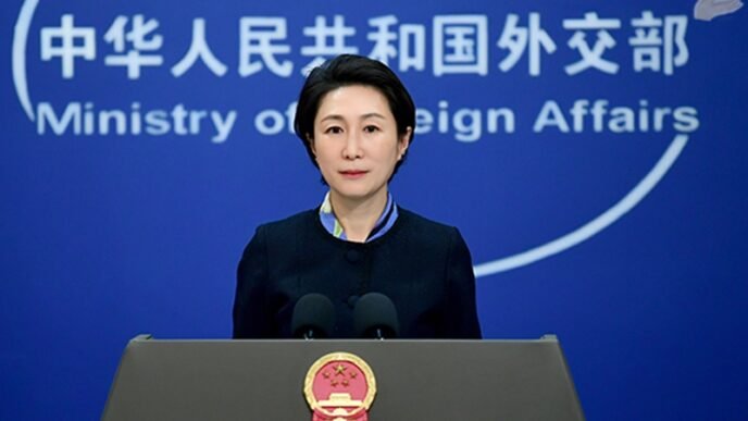 Chinese FM dismisses Texas governor's accusation of so-called Chinese overseas police stations