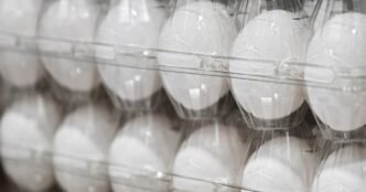 FDA raises salmonella recall alert to highest level on Costco eggs over risk of severe illness or death