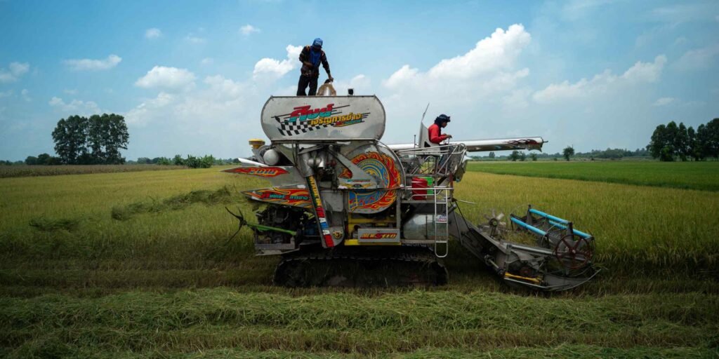 Thai 2024 rice exports to hit 6-year high, say industry officials