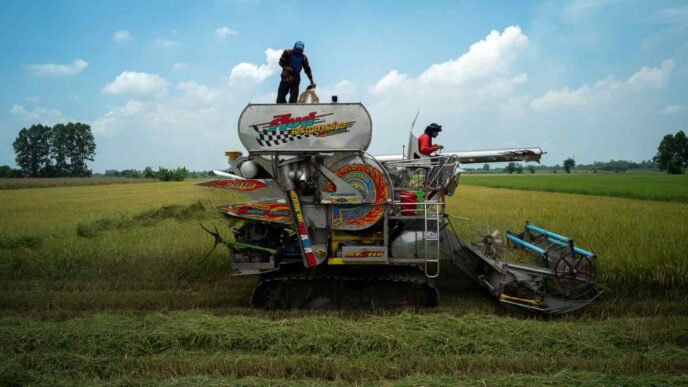 Thai 2024 rice exports to hit 6-year high, say industry officials