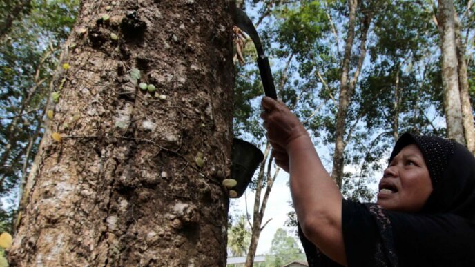 Thailand's December rubber production cut nearly 30% by floods