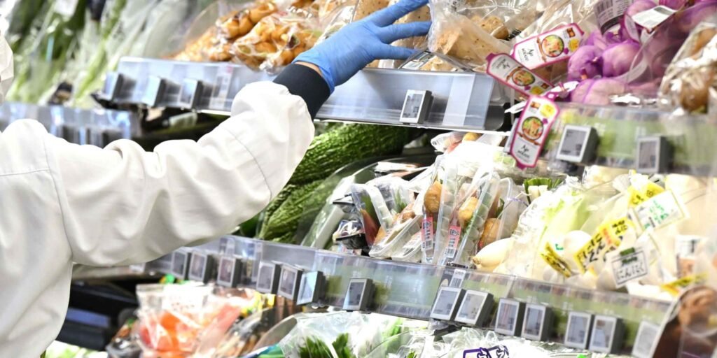 Japan GDP slips 0.1% in November, no thanks to food price rises: JCER