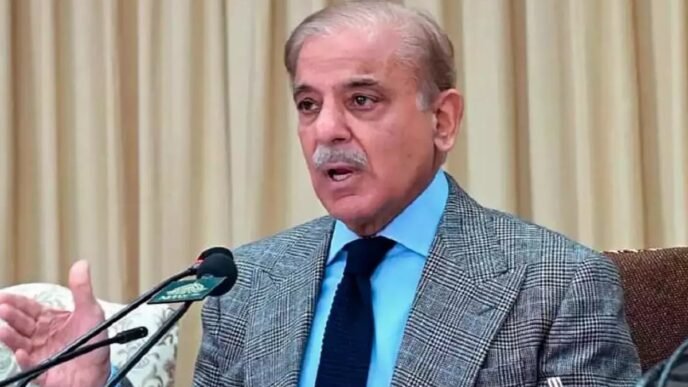 PM Shehbaz welcomes WB’s $20b pledge under its CPF