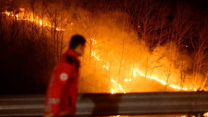 Deadly South Korean wildfires may have been set off by family grave rite