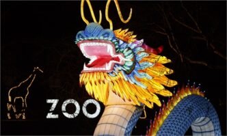 Dragon light - Global Times