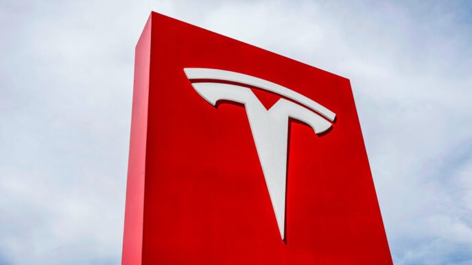 Idaho man arrested after striking Tesla counterprotester with car, police say