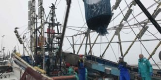 Japan, China and others agree on 10% cut to saury catch limit