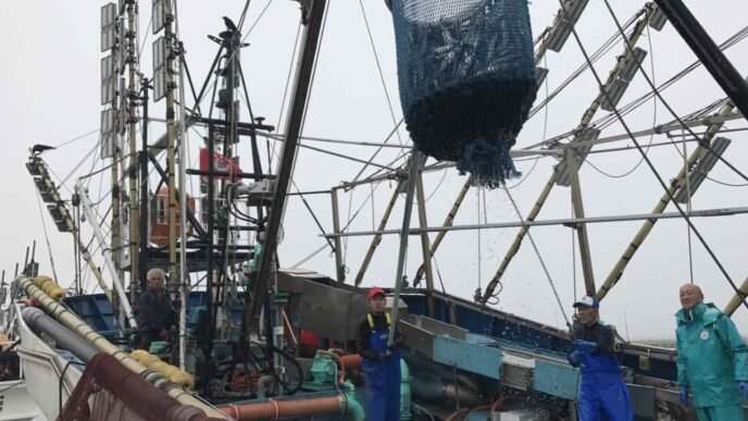 Japan, China and others agree on 10% cut to saury catch limit