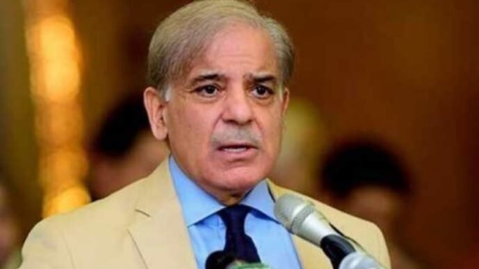 PM grieved over devastating quake in Thailand, Myanmar