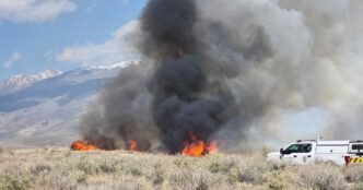 Silver Fire breaks out in central California and explodes to over 1,000 acres in a day