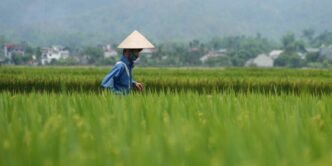With India's help, Vietnam challenges for Thailand's tourism crown