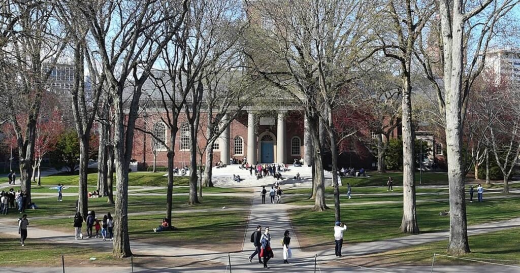 As Trump targets Harvard and nonprofits, wealthy donors are wary of stepping up their giving