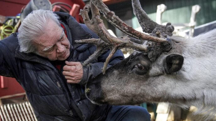 Beloved Alaska pet reindeer euthanized after someone tampered with pen, possibly poisoned him