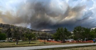 Cigarettes caused South Carolina's Table Rock Fire, forestry commission says