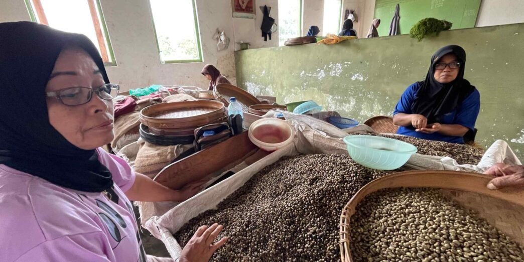 Indonesia risks becoming a net coffee importer as harvests fall