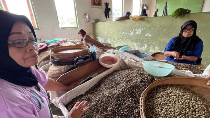 Indonesia risks becoming a net coffee importer as harvests fall