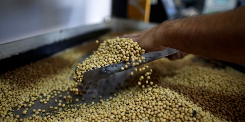 Japan weighs buying more US soybeans as part of tariff deal