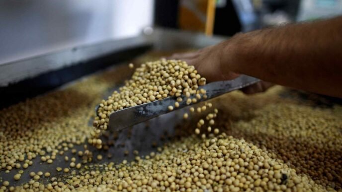 Japan weighs buying more US soybeans as part of tariff deal