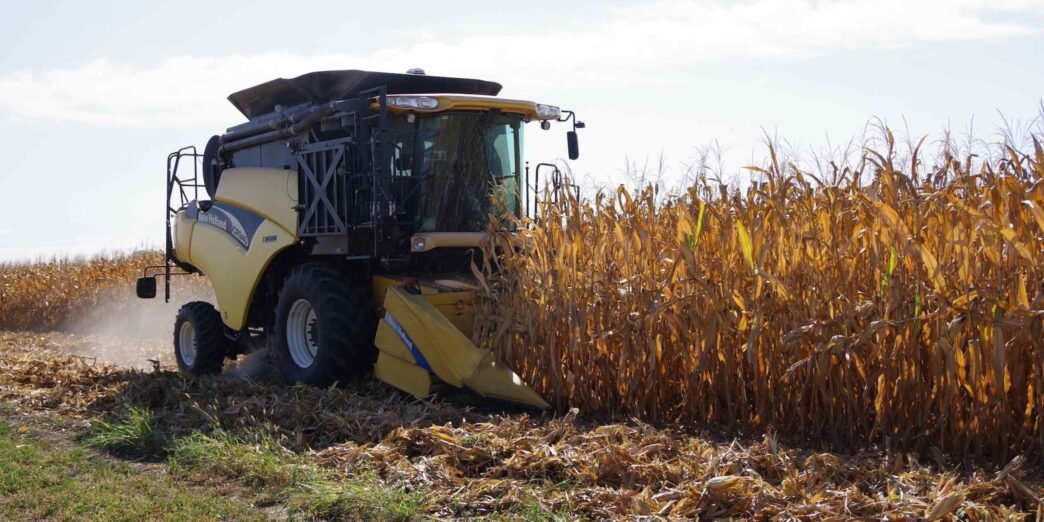Japan weighs importing more US corn in tariff negotiations