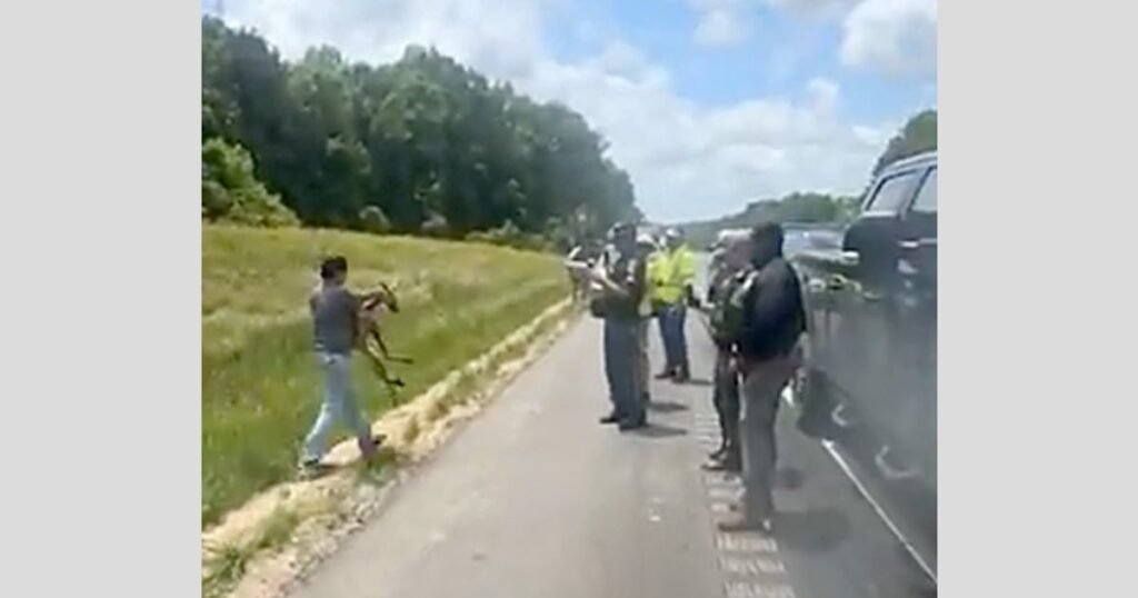 Kangaroo causes collision, stops traffic on Alabama highway
