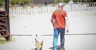 Missing toddler who walked 7 miles alone through Arizona wilderness led to safety by rancher's dog