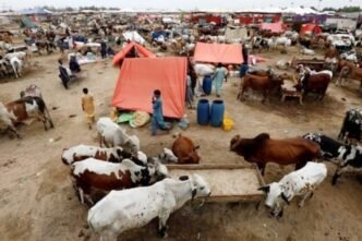 NIH issues advisory for Congo Hemorrhagic fever
