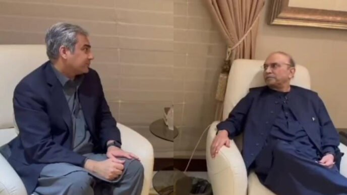 Naqvi briefs President Zardari on India’s irresponsible conduct