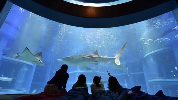 Osaka aquarium lures foreign tourists with unique exhibits