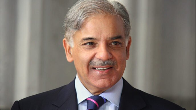 PM Shehbaz constitutes committee to improve governance
