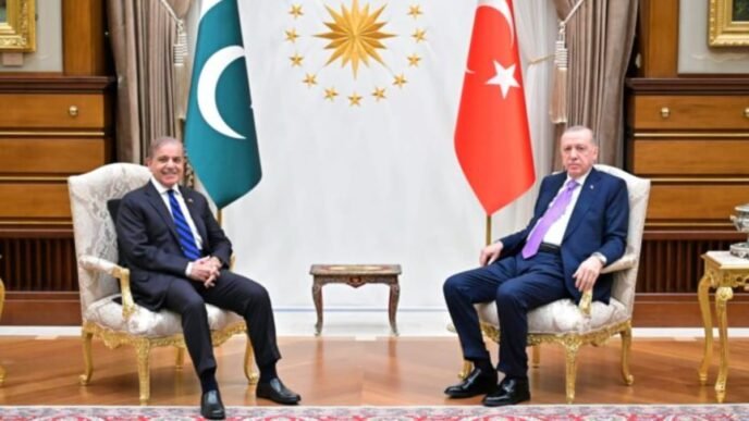 Pakistan, Turkiye commit to strengthen ties for regional peace, development