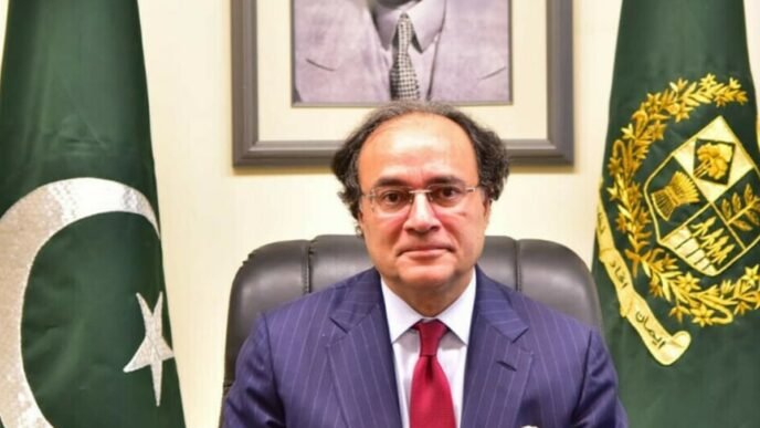 Pakistan’s economic reforms on right path, says finance minister