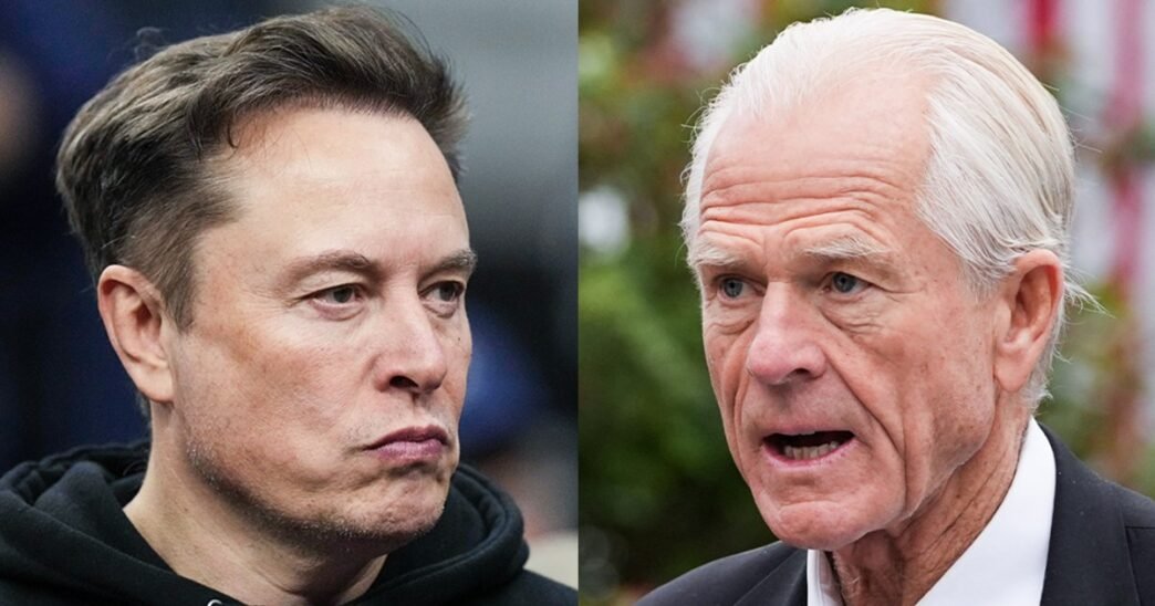 Peter Navarro denies tensions with Elon Musk after Musk calls him a 'moron'