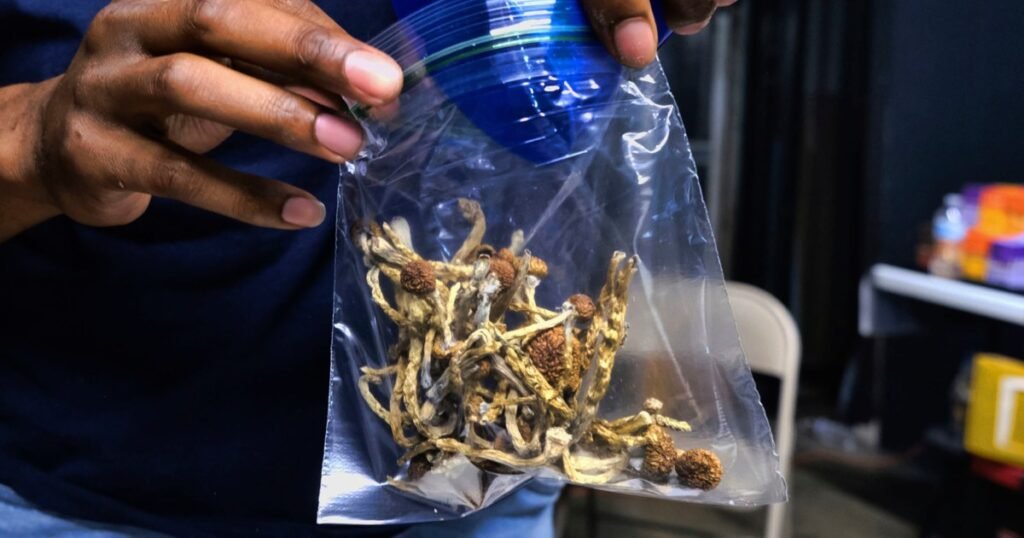 Psilocybin use is on the rise as public perception changes, report shows