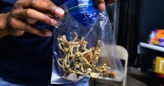 Psilocybin use is on the rise as public perception changes, report shows