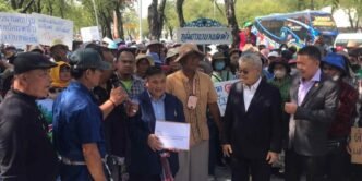 Southeast Asian rice farmers struggle against Indian exports