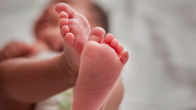 The fertility rate was stable in 2024, but it's still near record lows