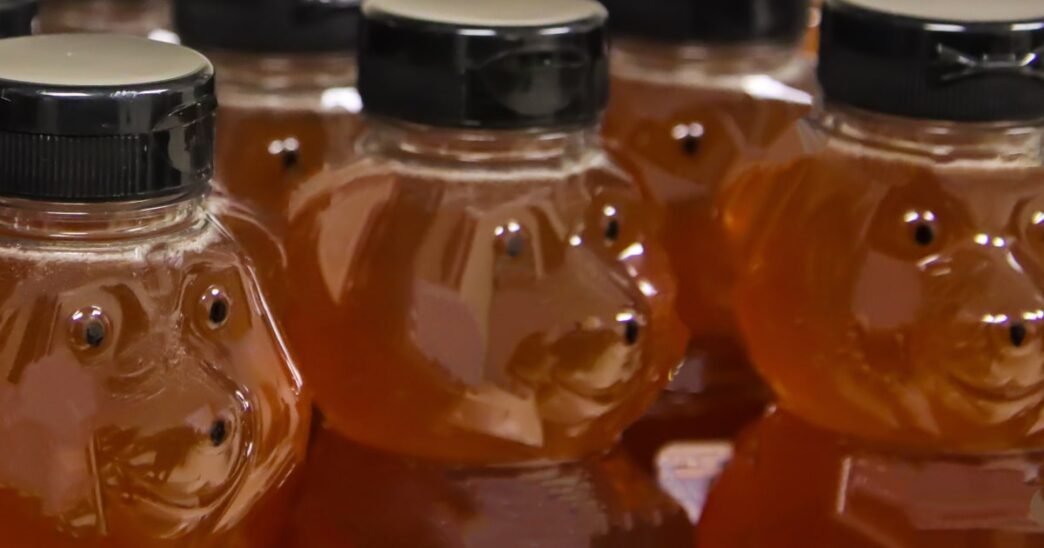 U.S. honey bee deaths soar, and grocery store bills could take the hit